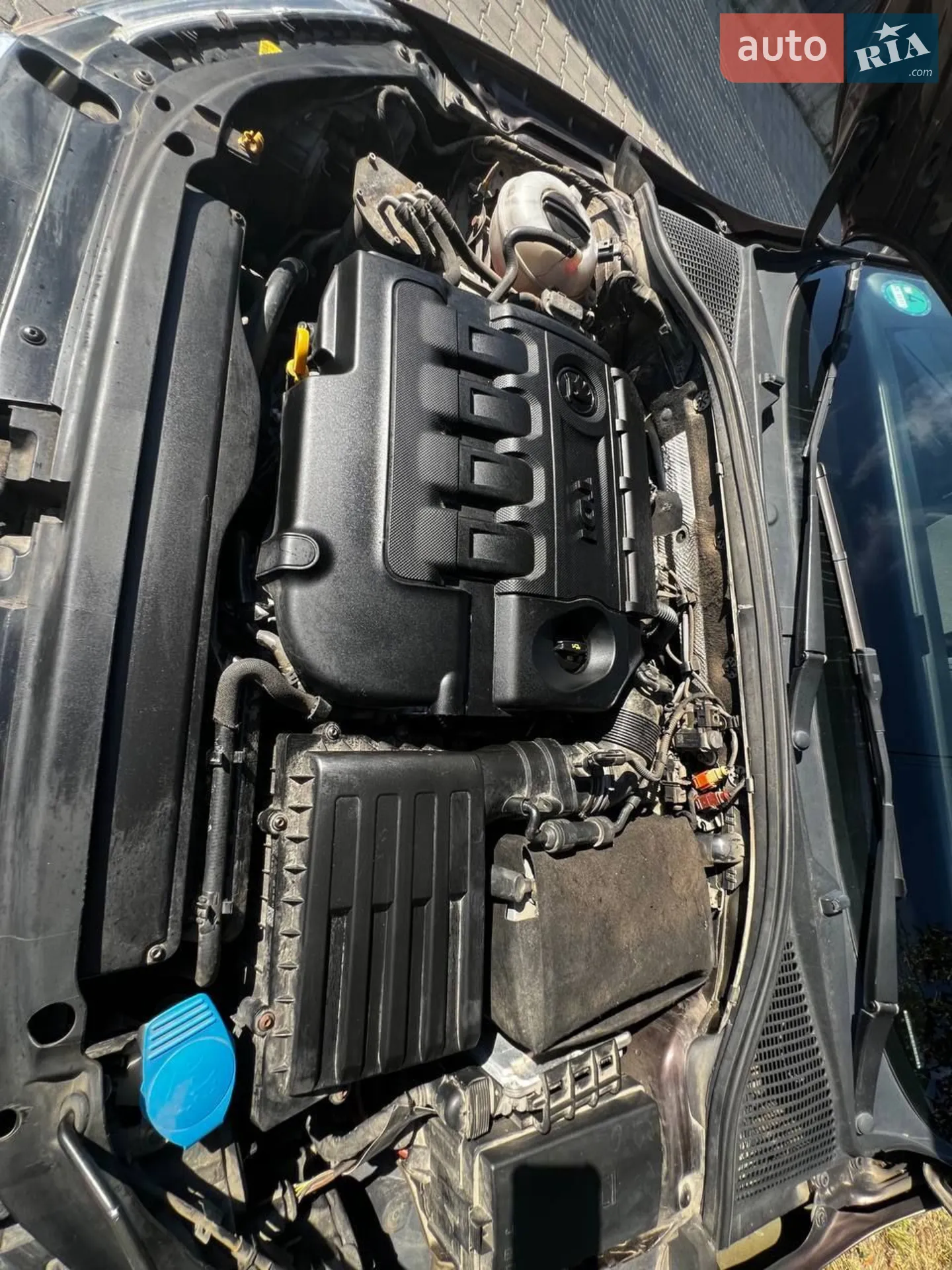 2015 Skoda Octavia - мініатюра 12
