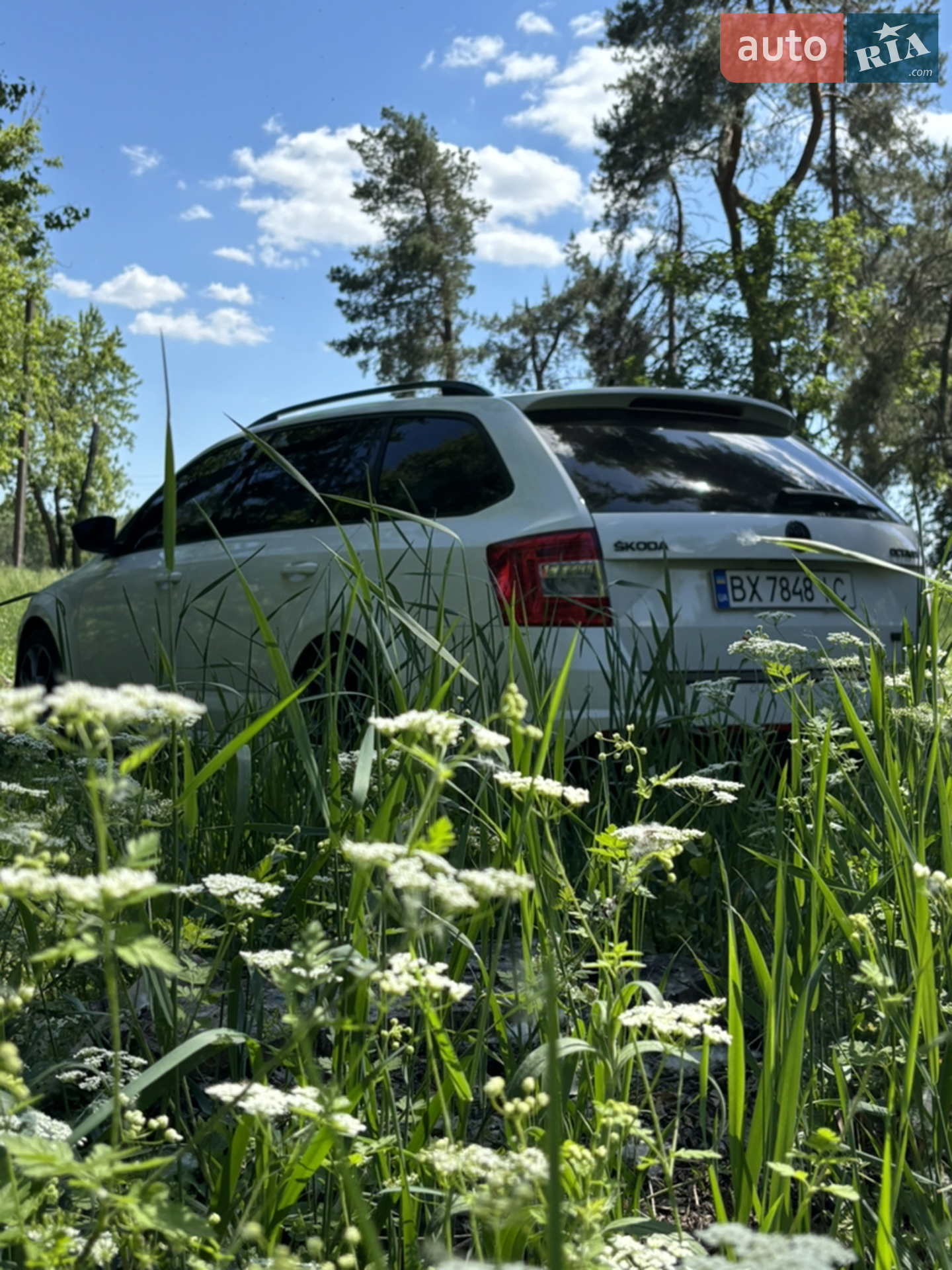 2015 Skoda Octavia - мініатюра 10