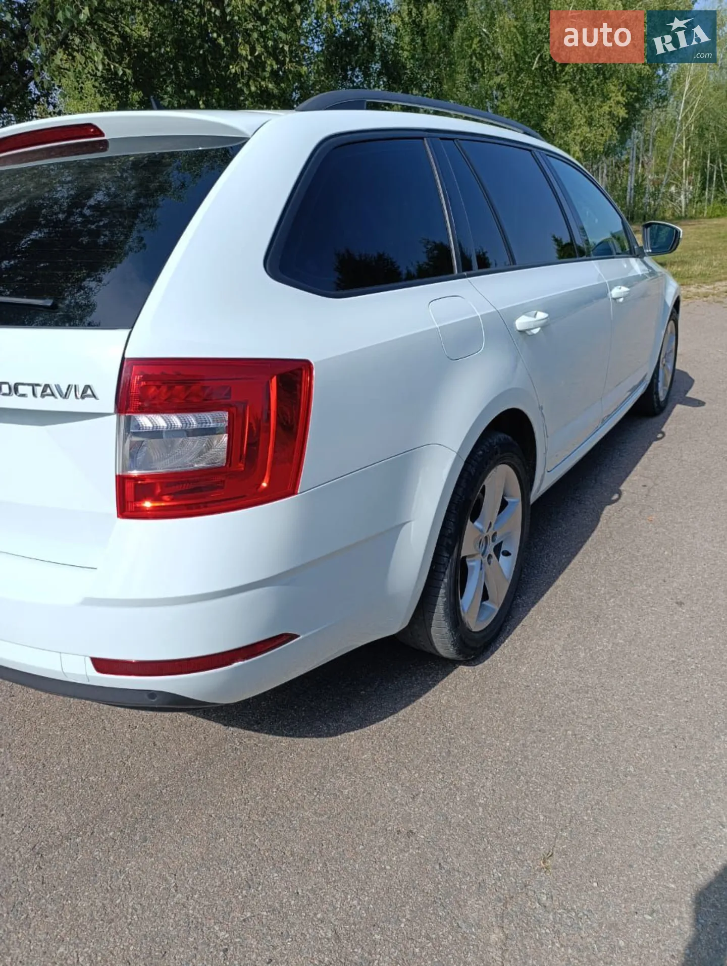 2017 Skoda Octavia - мініатюра 14
