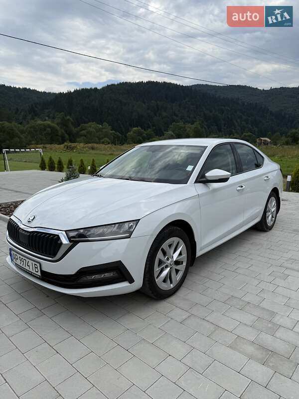 Ліфтбек Skoda Octavia 2023 в Києві фото 5 Ліфтбек Skoda Octavia 2023 в Києві
