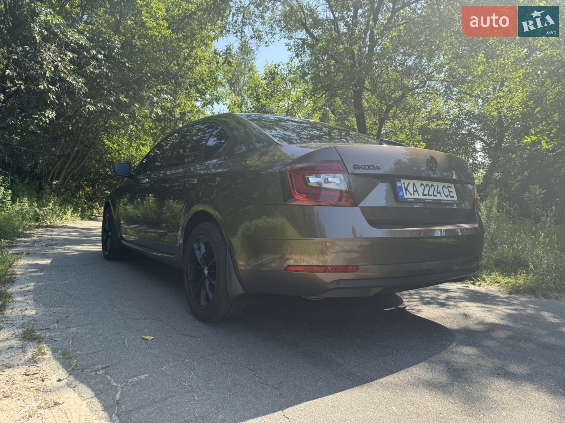 2018 Skoda Octavia - мініатюра 6
