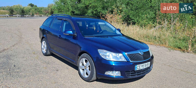 Универсал Skoda Octavia 2010 в Кельменцах