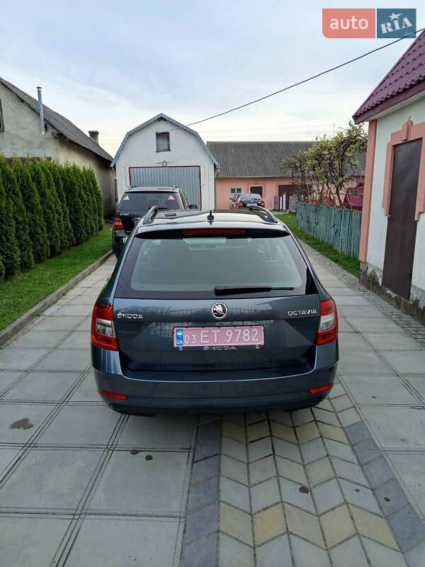 Универсал Skoda Octavia 2018 в Буске
