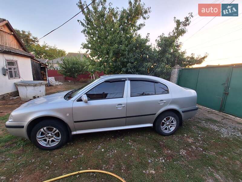 Лифтбек Skoda Octavia 2006 в Кривом Озере