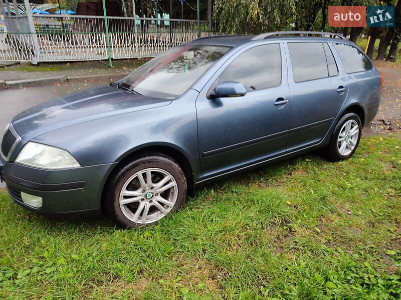Универсал Skoda Octavia 2006 в Звягеле