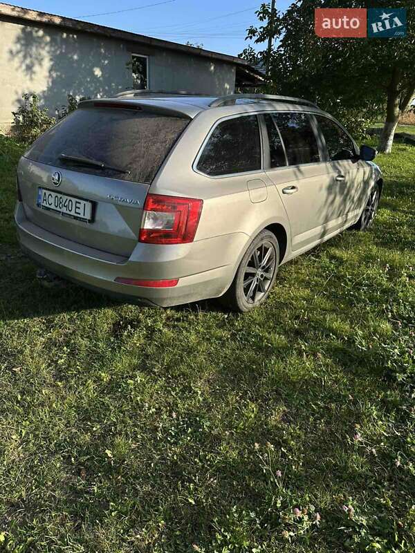 Универсал Skoda Octavia 2014 в Нововолынске