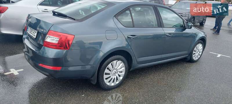 Лифтбек Skoda Octavia 2014 в Прилуках фото 6 Лифтбек Skoda Octavia 2014 в Прилуках