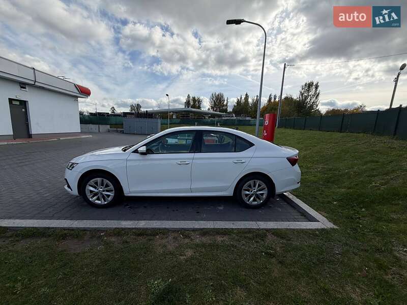 Ліфтбек Skoda Octavia 2022 в Запоріжжі фото 6 Ліфтбек Skoda Octavia 2022 в Запоріжжі