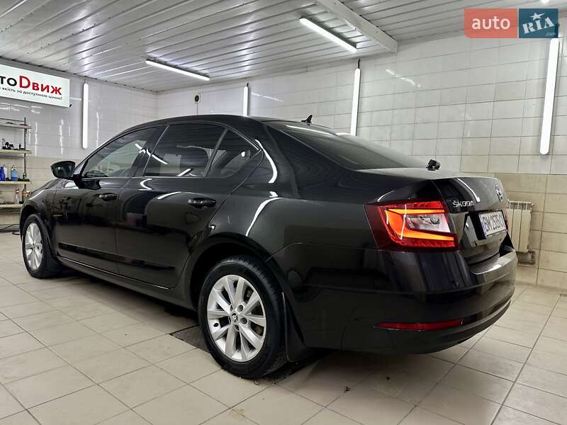 Лифтбек Skoda Octavia 2020 в Сумах фото 17 Лифтбек Skoda Octavia 2020 в Сумах