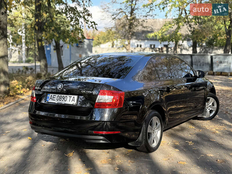 Лифтбек Skoda Octavia 2019 в Днепре фото 3 Лифтбек Skoda Octavia 2019 в Днепре