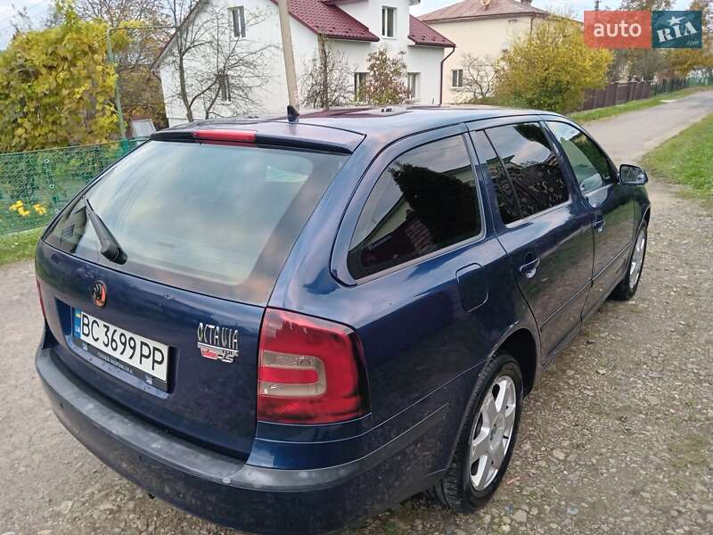 Універсал Skoda Octavia 2007 в Дрогобичі