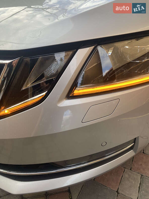 Универсал Skoda Octavia 2019 в Мукачево фото 137 Универсал Skoda Octavia 2019 в Мукачево