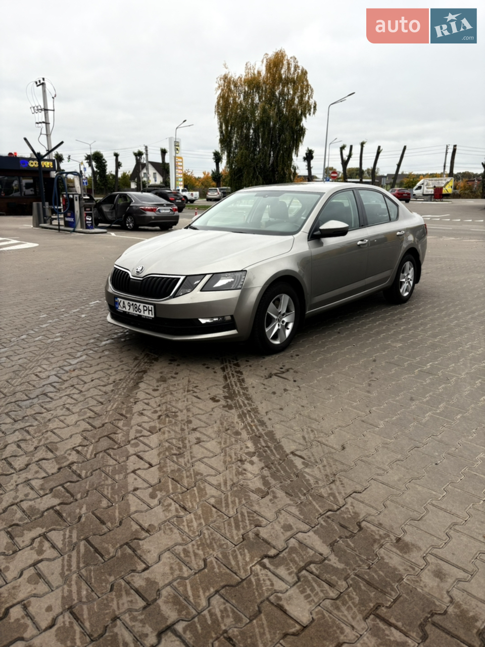 2020 Skoda Octavia - мініатюра 41