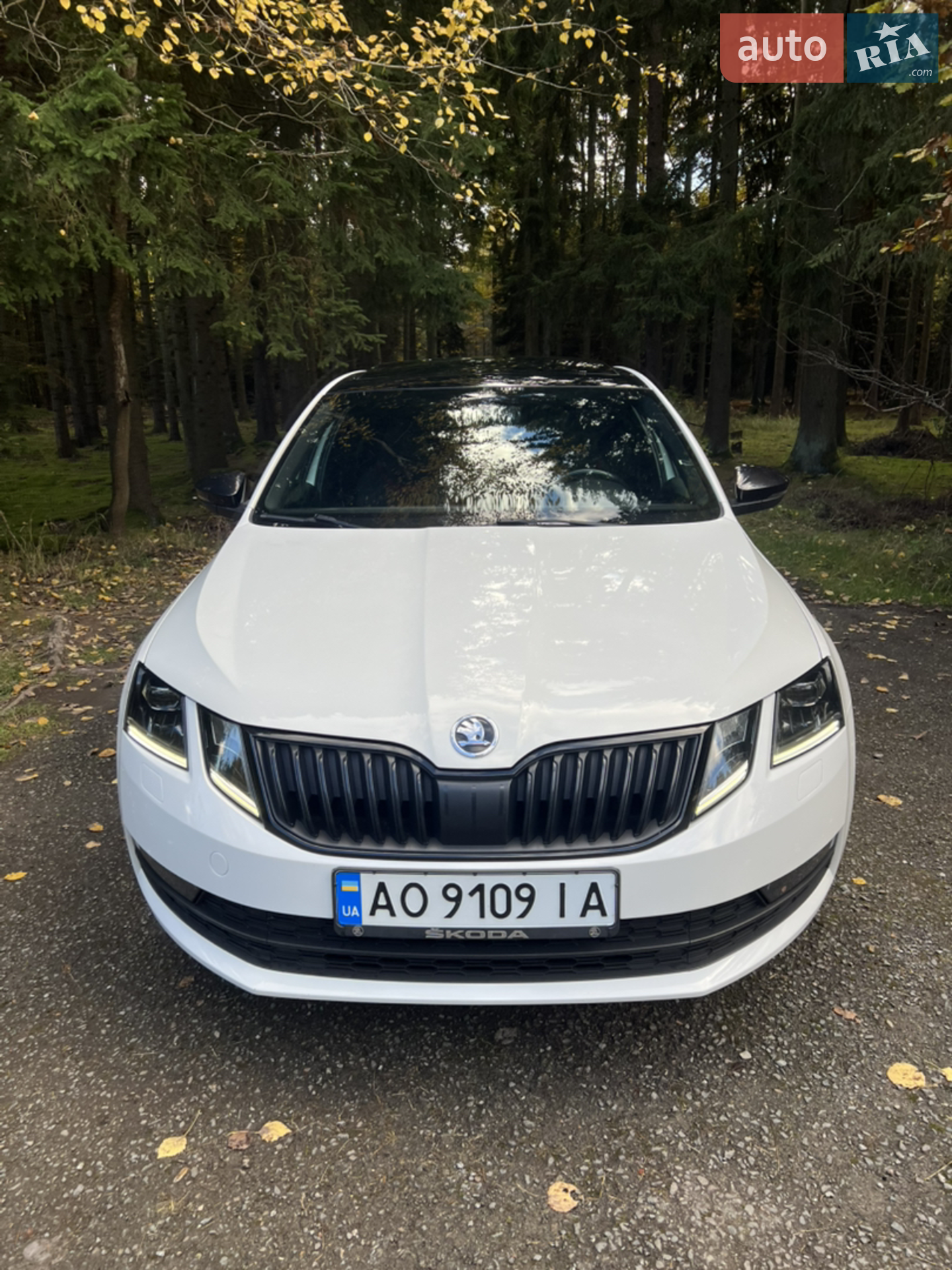 2019 Skoda Octavia - мініатюра 17