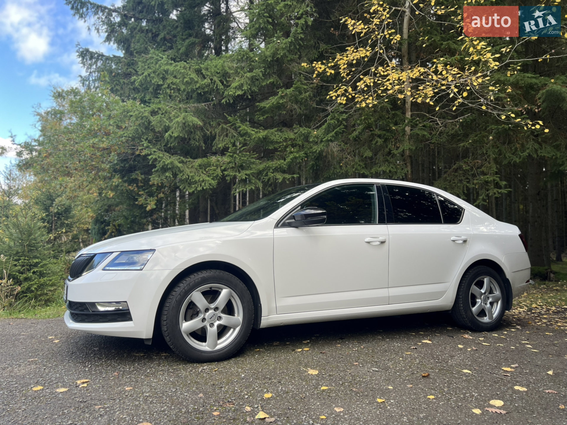 2019 Skoda Octavia - мініатюра 18