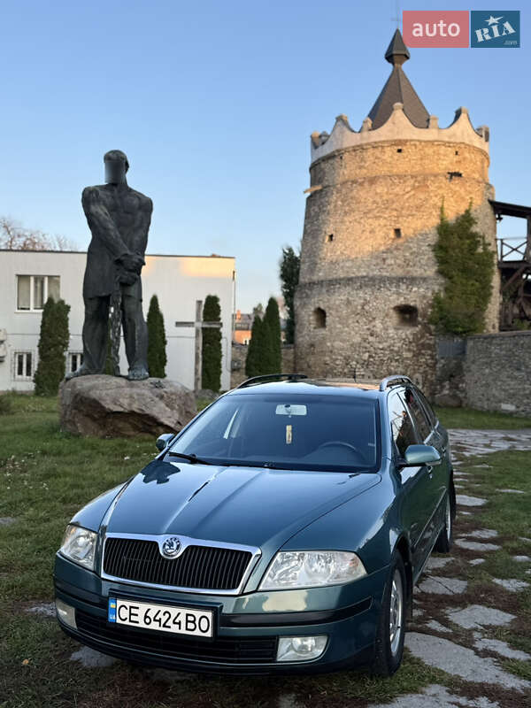 Універсал Skoda Octavia 2007 в Летичіві