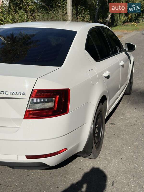 Лифтбек Skoda Octavia 2018 в Гадяче фото 6 Лифтбек Skoda Octavia 2018 в Гадяче
