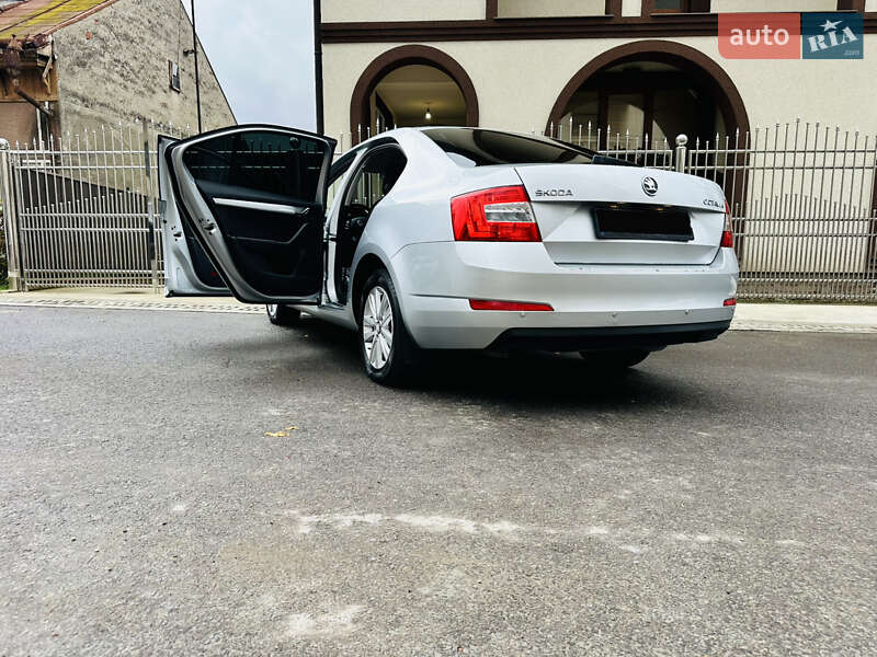 Ліфтбек Skoda Octavia 2015 в Грушево фото 82 Ліфтбек Skoda Octavia 2015 в Грушево