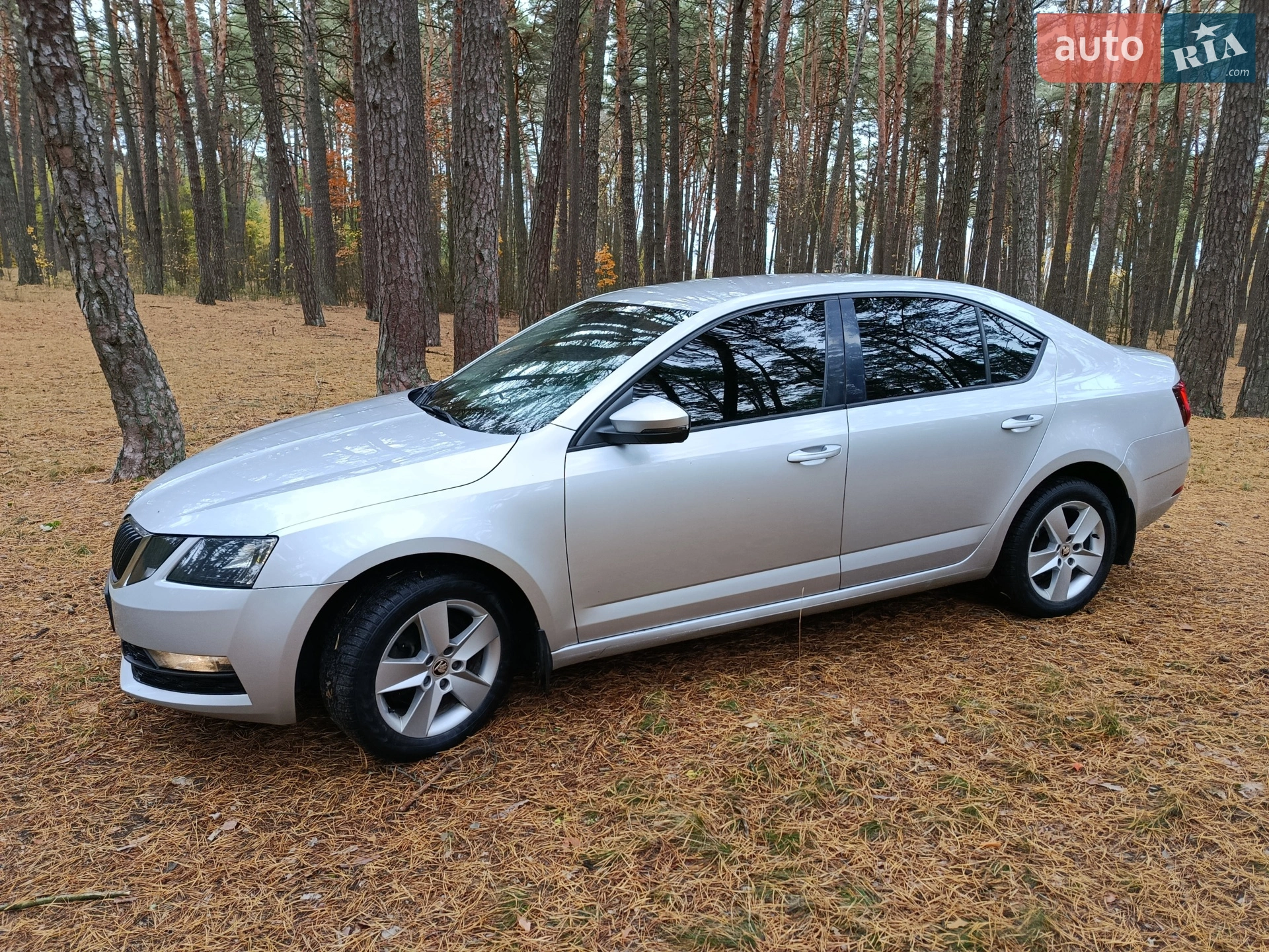 2017 Skoda Octavia - мініатюра 2