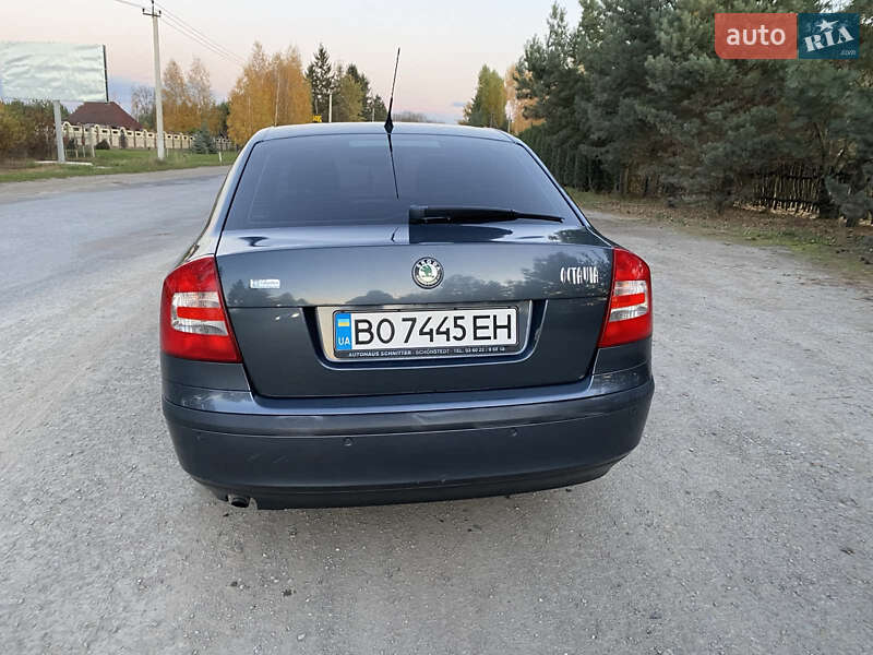 Лифтбек Skoda Octavia 2007 в Борщеве