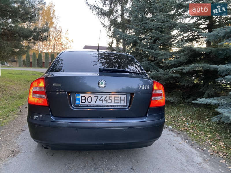Лифтбек Skoda Octavia 2007 в Борщеве