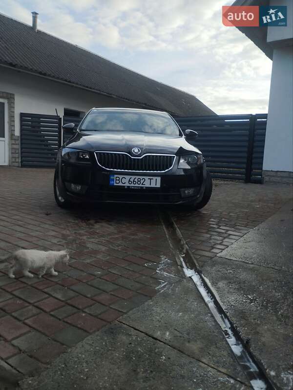 Ліфтбек Skoda Octavia 2016 в Золочеві