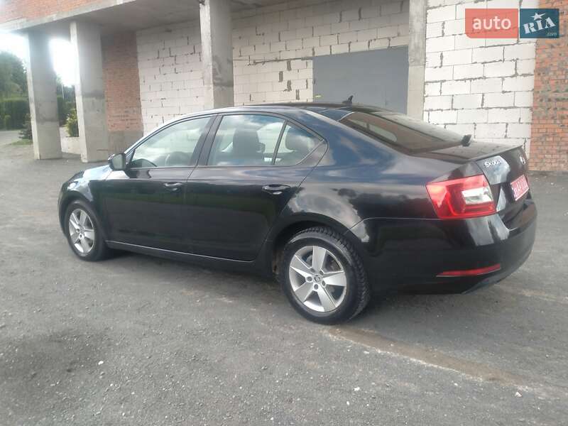 Лифтбек Skoda Octavia 2018 в Хмельницком фото 14 Лифтбек Skoda Octavia 2018 в Хмельницком