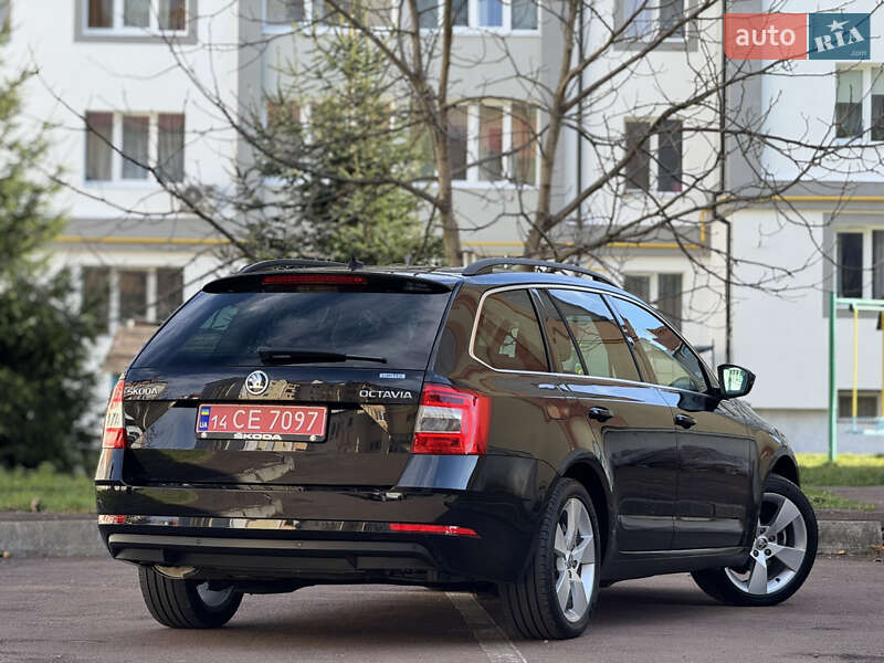 Универсал Skoda Octavia 2019 в Дрогобыче