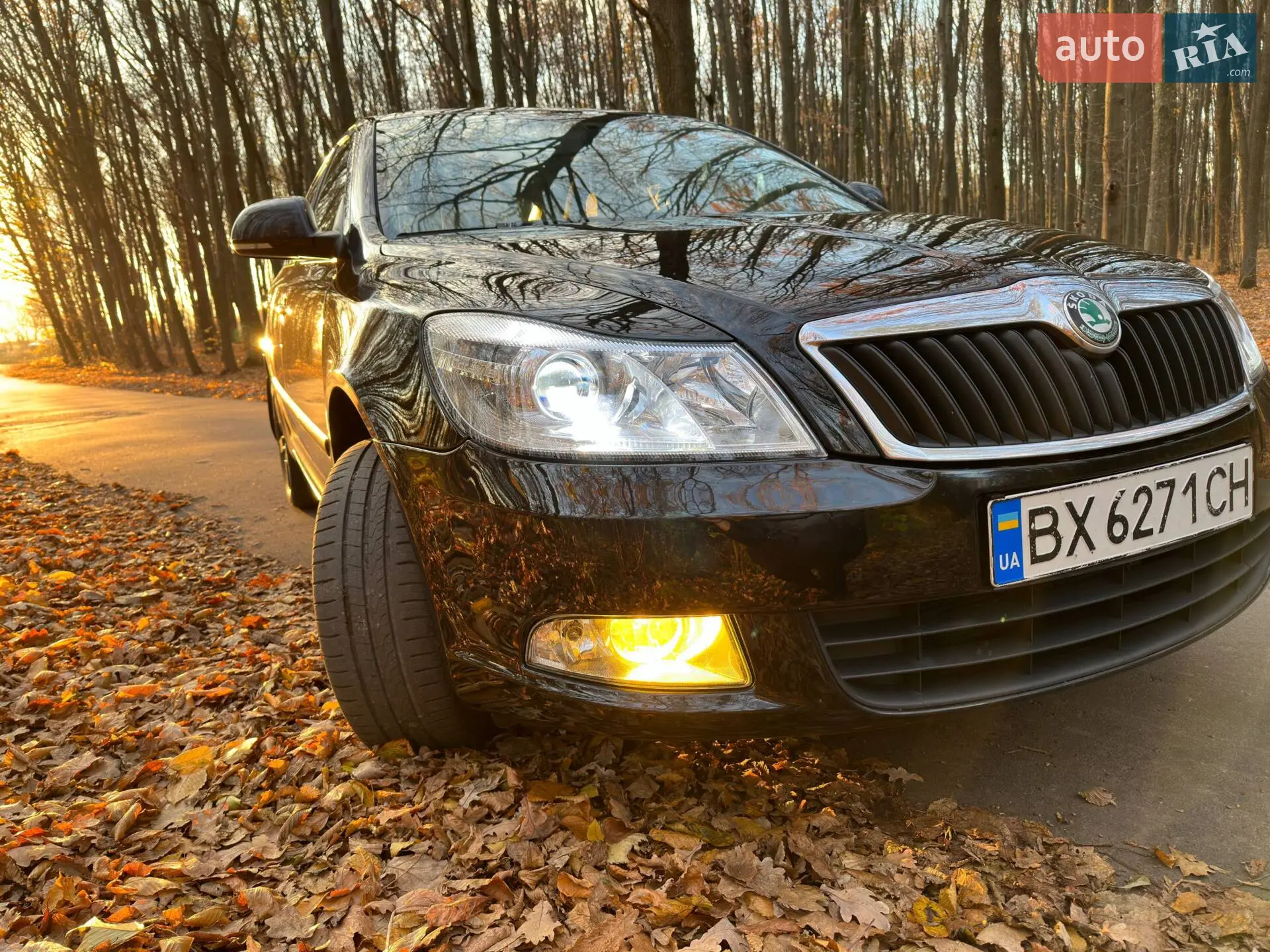 2012 Skoda Octavia - мініатюра 3
