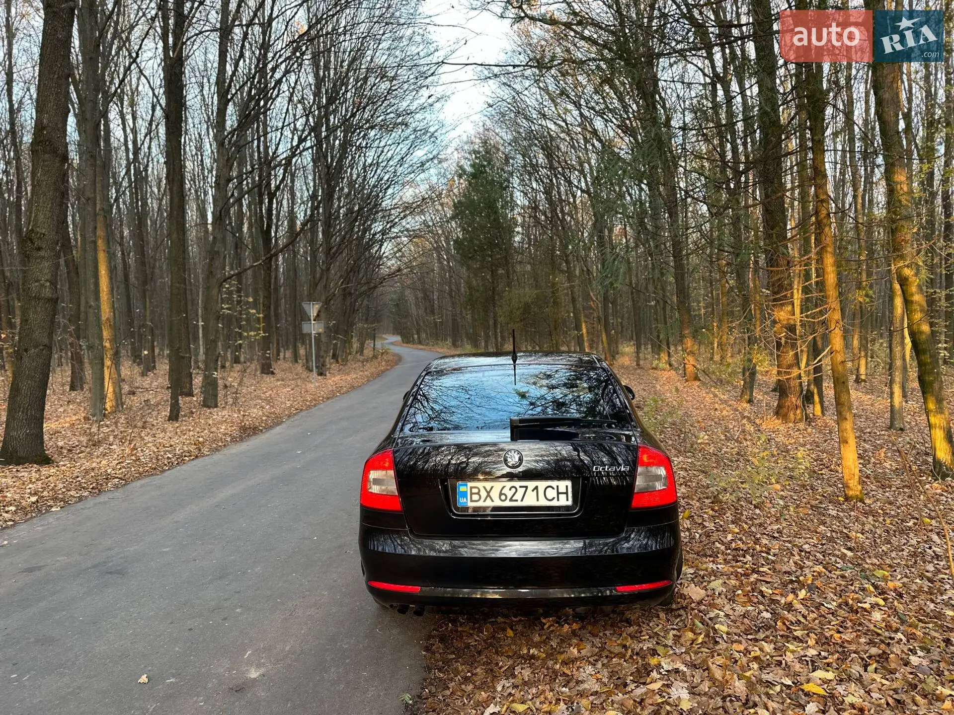 2012 Skoda Octavia - мініатюра 6