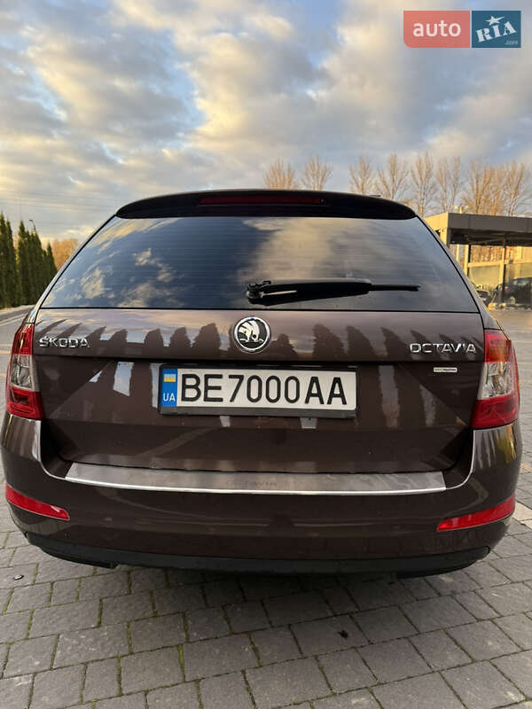 Универсал Skoda Octavia 2014 в Ивано-Франковске фото 19 Универсал Skoda Octavia 2014 в Ивано-Франковске