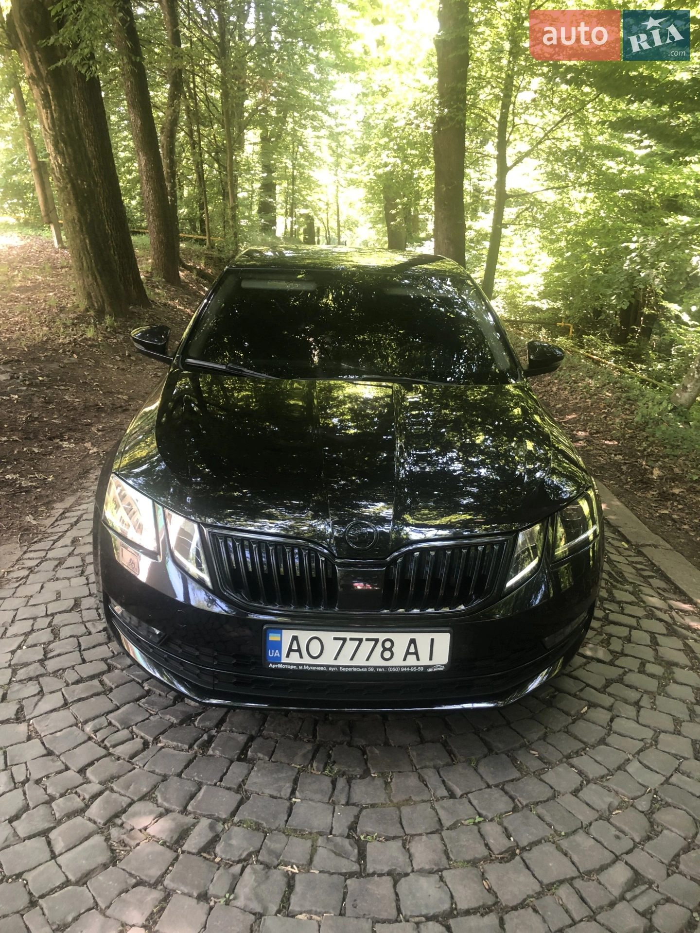2017 Skoda Octavia - мініатюра 2
