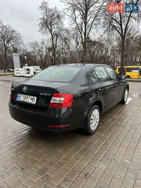 Лифтбек Skoda Octavia 2018 в Львове фото 10 Лифтбек Skoda Octavia 2018 в Львове