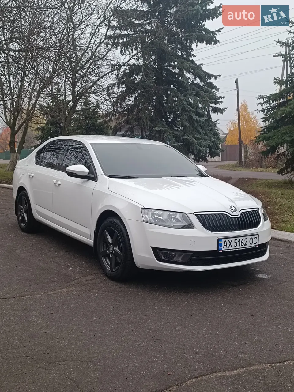 2013 Skoda Octavia - мініатюра 8