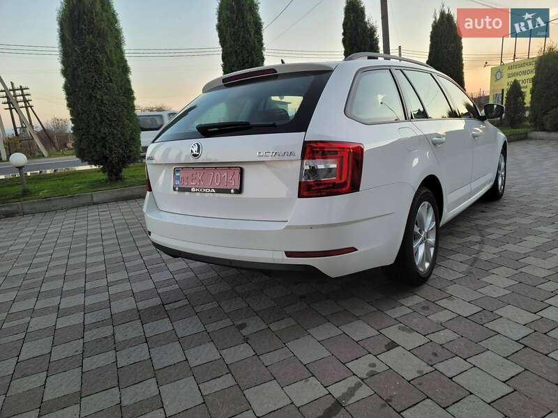 Универсал Skoda Octavia 2019 в Сарнах фото 17 Универсал Skoda Octavia 2019 в Сарнах