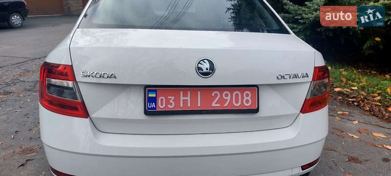 Лифтбек Skoda Octavia 2019 в Немирове