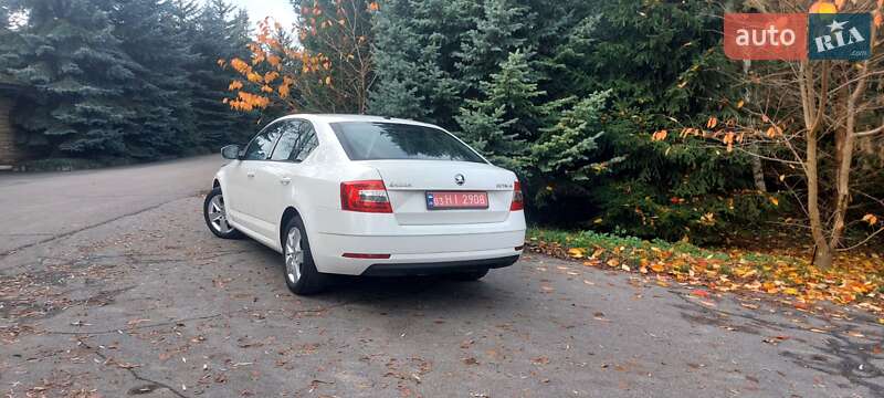 Лифтбек Skoda Octavia 2019 в Немирове