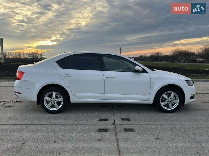 Ліфтбек Skoda Octavia 2019 в Полтаві фото 28 Ліфтбек Skoda Octavia 2019 в Полтаві