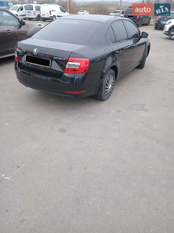 Ліфтбек Skoda Octavia 2019 в Львові фото 5 Ліфтбек Skoda Octavia 2019 в Львові