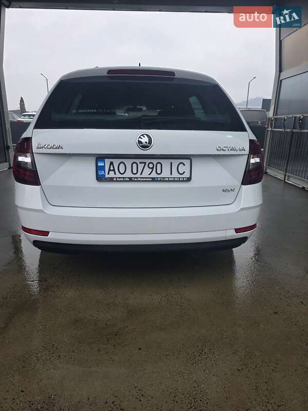 Универсал Skoda Octavia 2017 в Мукачево