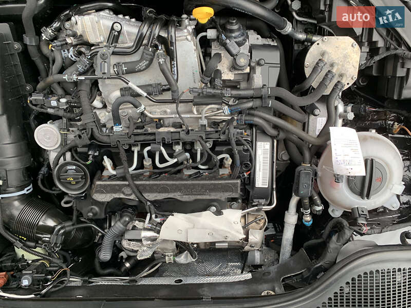 Універсал Skoda Octavia 2017 в Житомирі