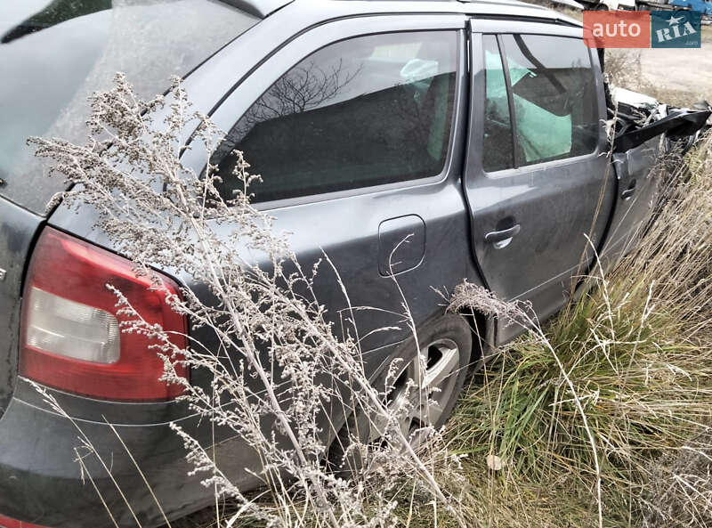Универсал Skoda Octavia 2010 в Гребенках