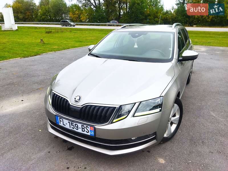 Универсал Skoda Octavia 2019 в Звягеле
