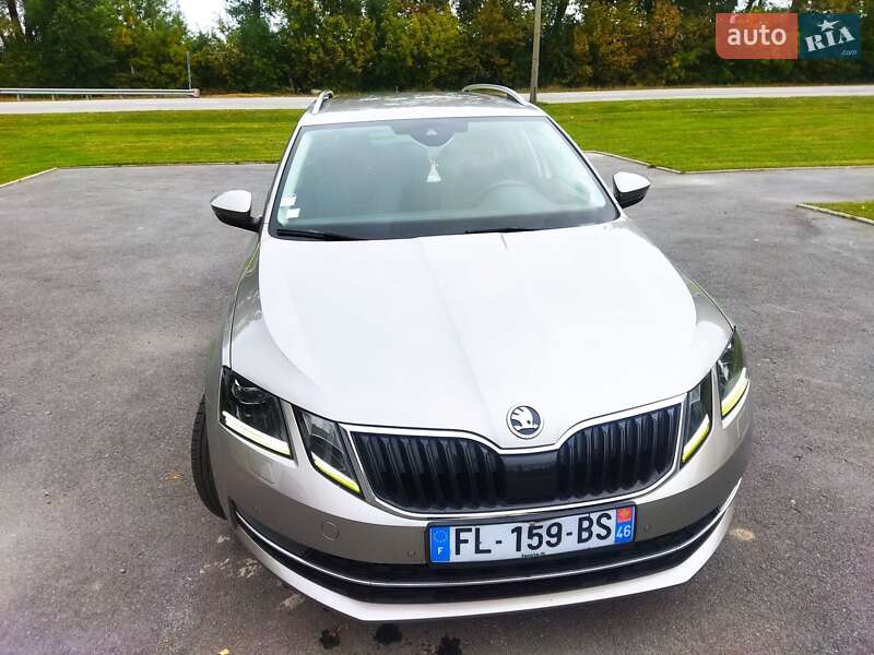 Универсал Skoda Octavia 2019 в Звягеле