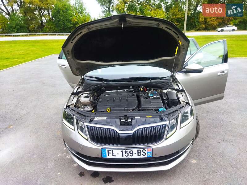 Универсал Skoda Octavia 2019 в Звягеле