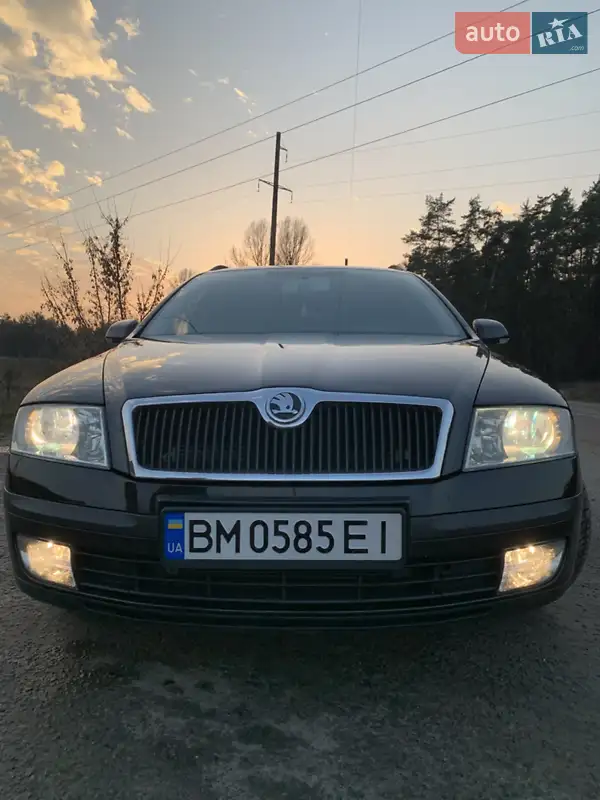 Skoda Octavia 2005 VIN TMBCA61Z352055435 фото оголошення 19 з 50