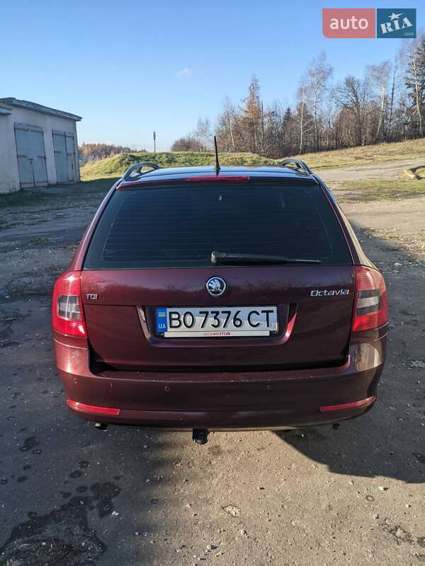 Универсал Skoda Octavia 2009 в Кременце