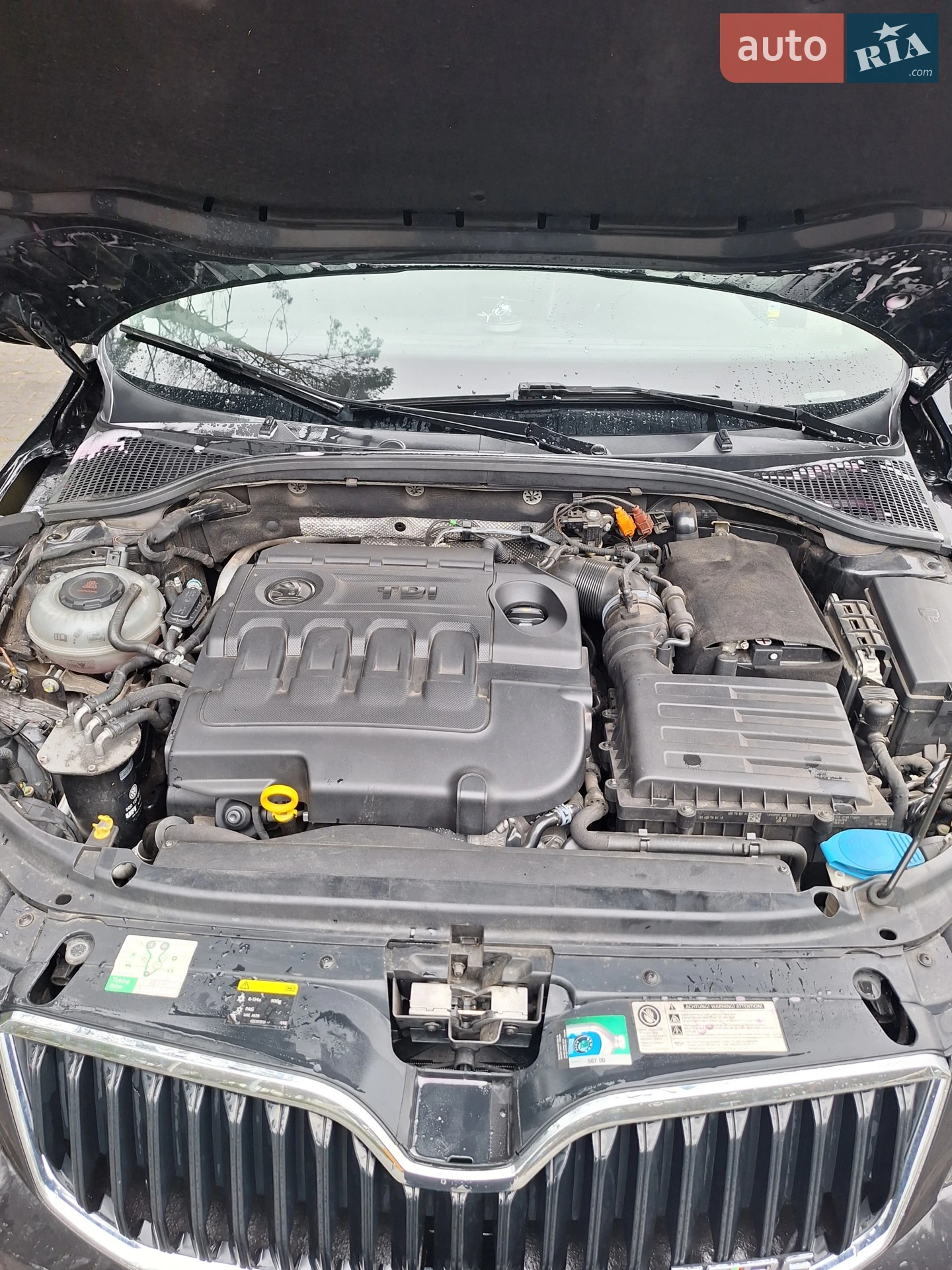2013 Skoda Octavia - мініатюра 23