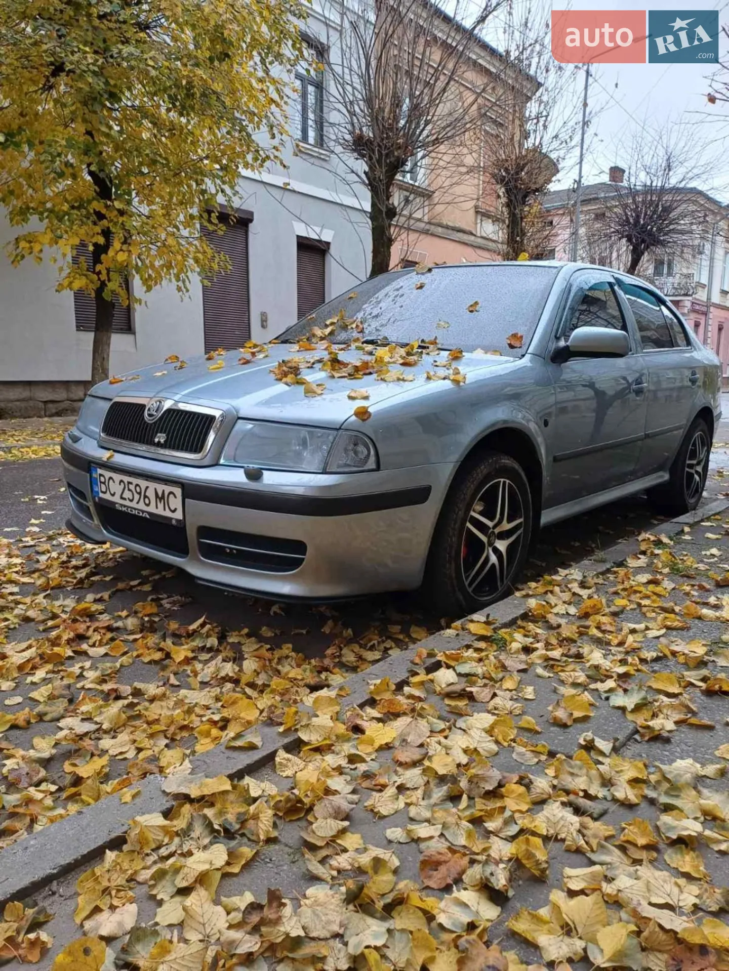 Skoda Octavia 2004 VIN TMBDX11U242904320 фото оголошення 15 з 17
