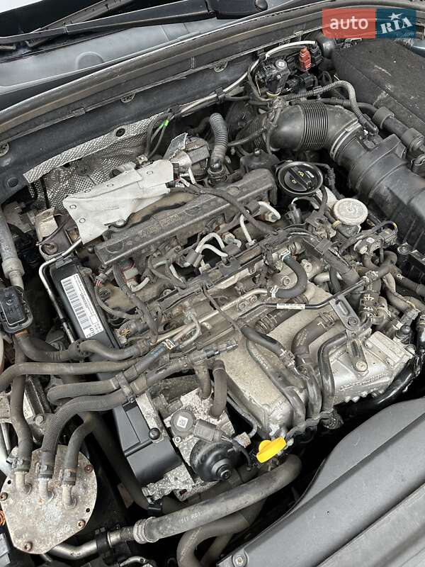 Універсал Skoda Octavia 2017 в Стрию фото 120 Універсал Skoda Octavia 2017 в Стрию